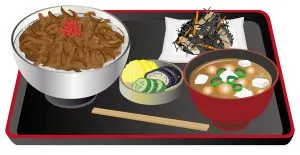 日式牛肉盖饭定食示例